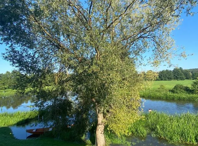 Idyllische In Mossendorf Blick Zur Naab *
