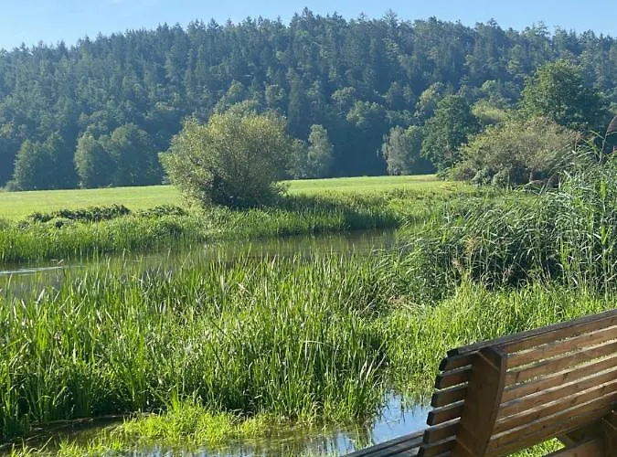 Idyllische In Mossendorf Blick Zur Naab דירה בורגלנגנפלד